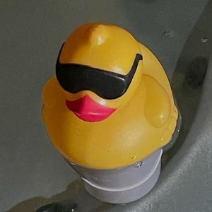 Meet your Posher, Maya